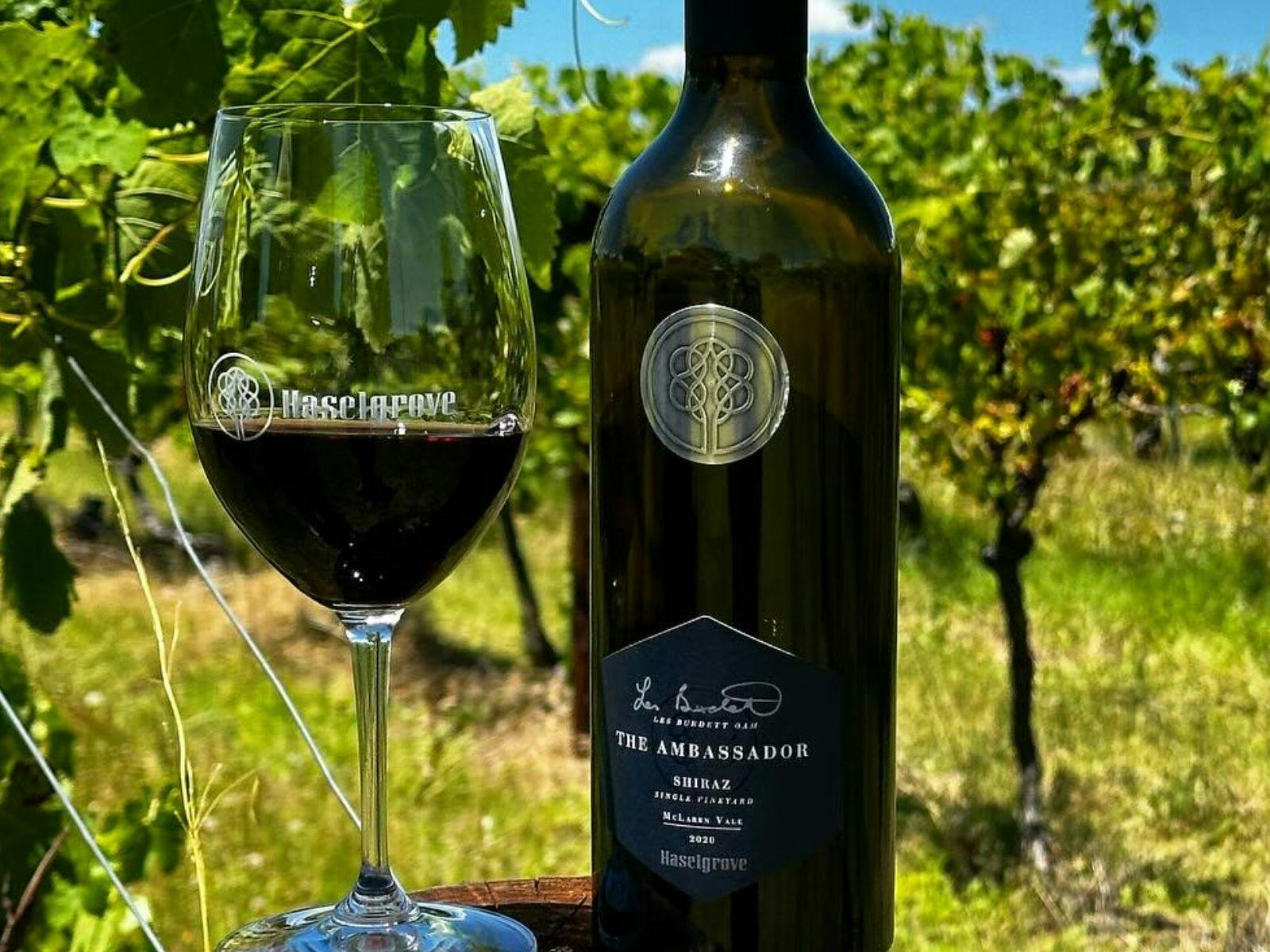Summer sessions Ultimate winemaker for a minute experience