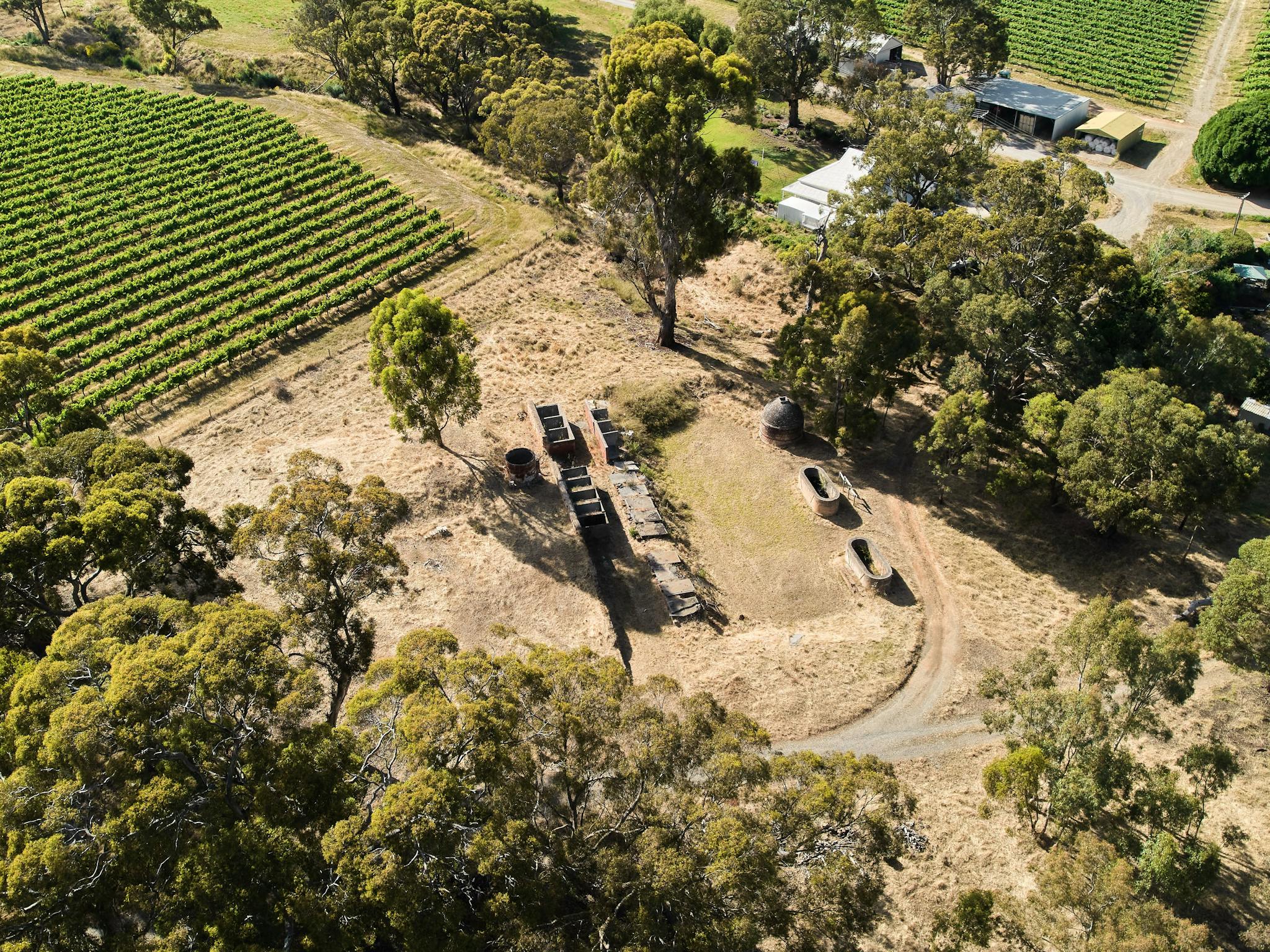 upper tinara vineyard