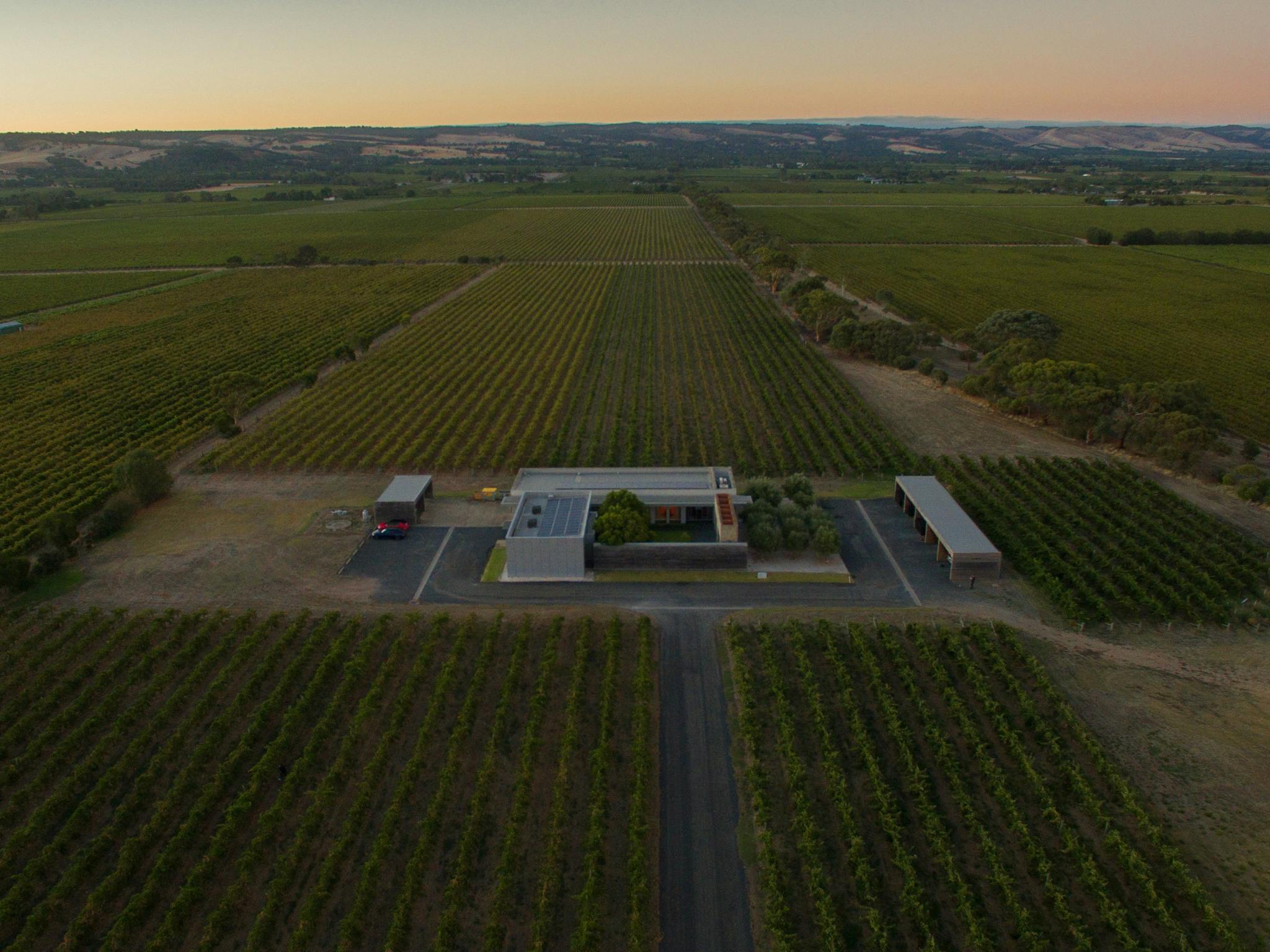 Our winery sits in the heart of McLaren Vale.