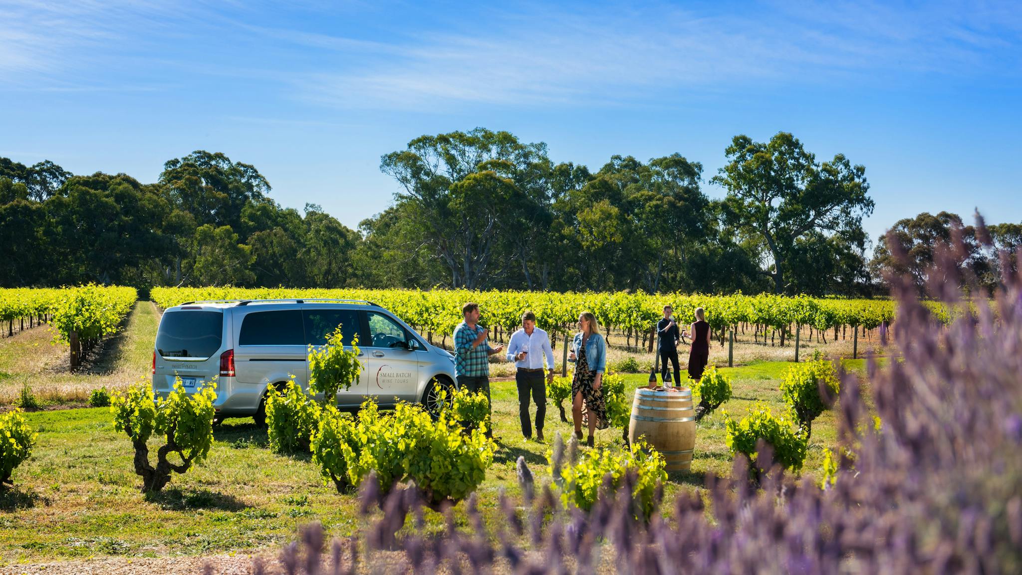 Walking through the vineyard with your guide while tasting wines