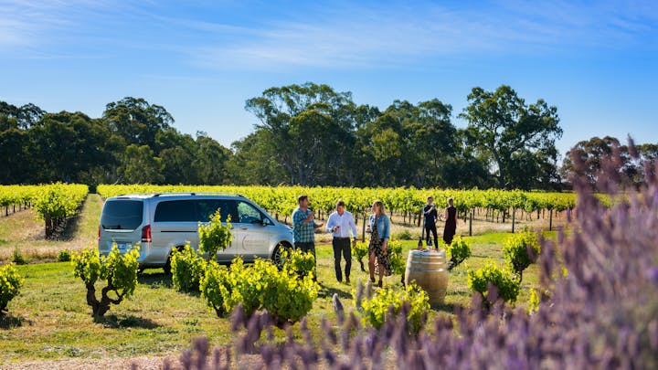 Small Batch Wine Tours