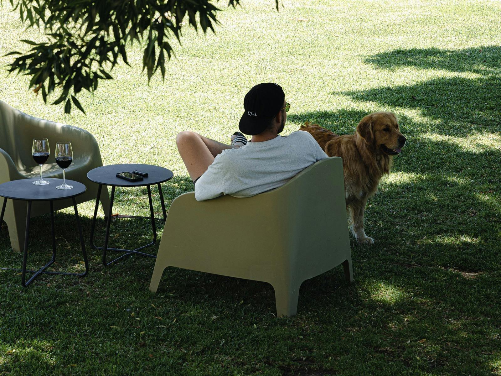 Your furry friends are always welcome!