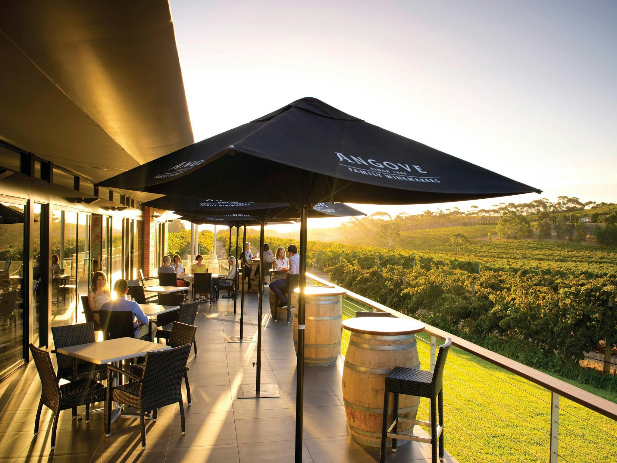 Angove Wines, McLaren Vale Wine Tour, Trail Hopper