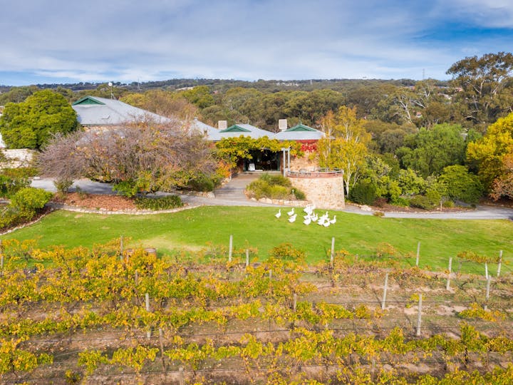 Wine Tasting at the Historic Mount Hurtle Winery