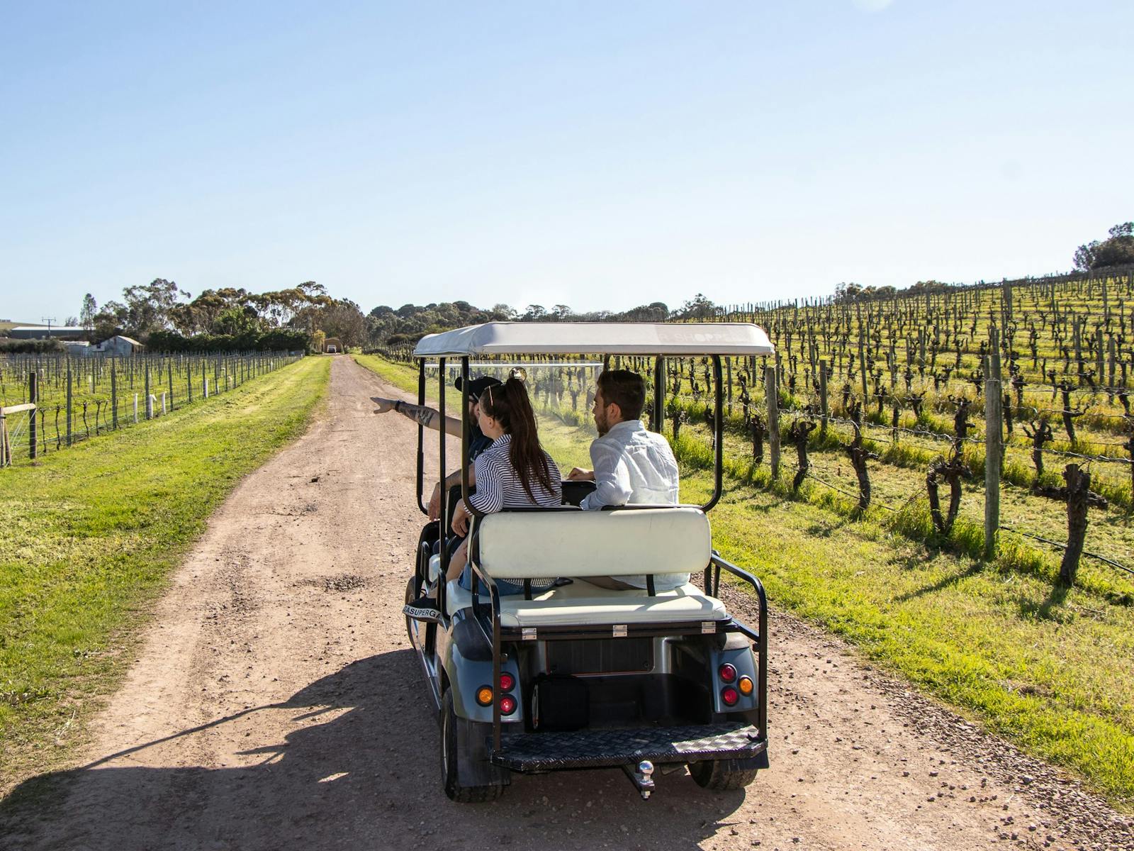 Vineyard Sustainability Tour and Tasting