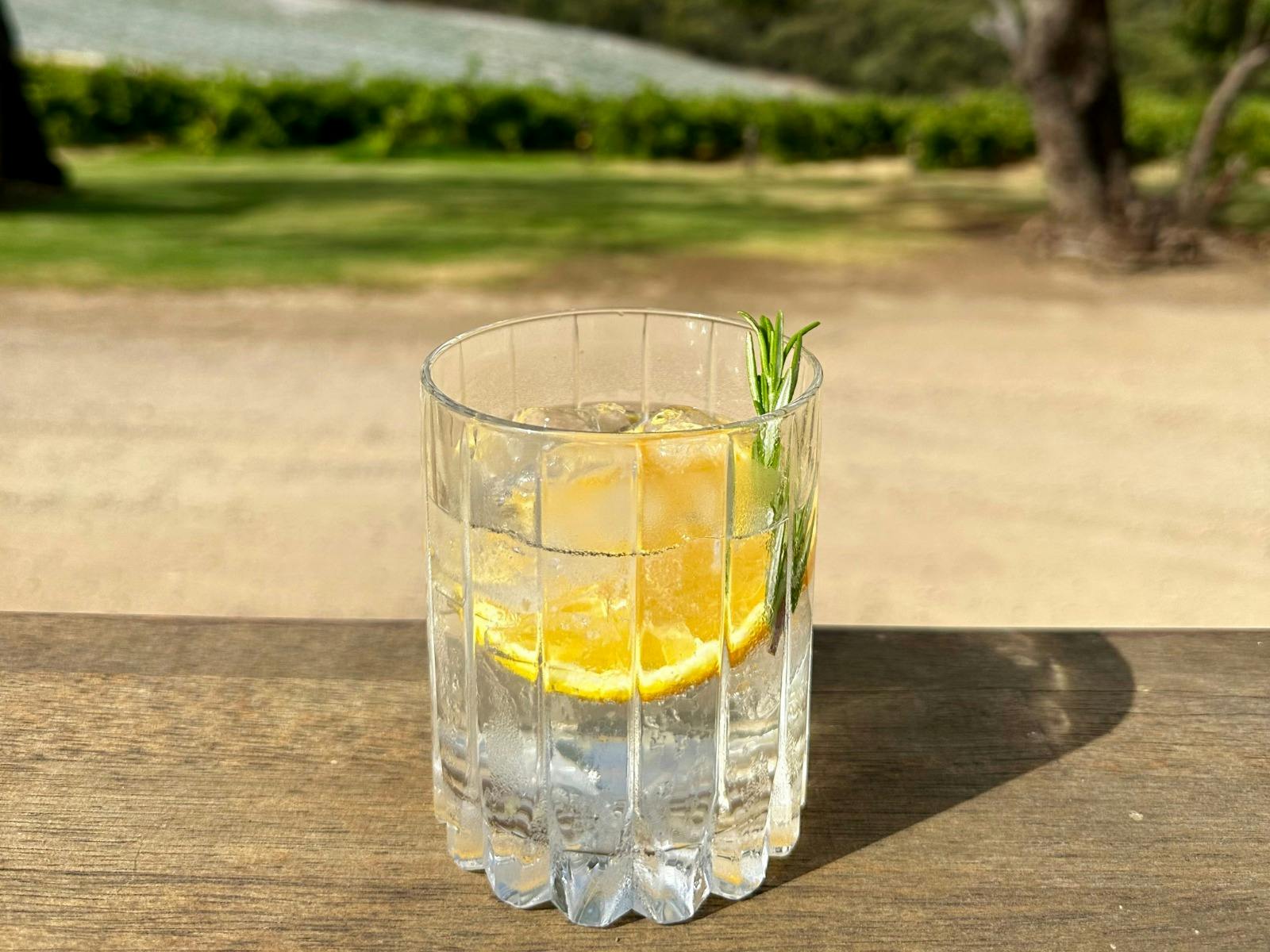 Gin
