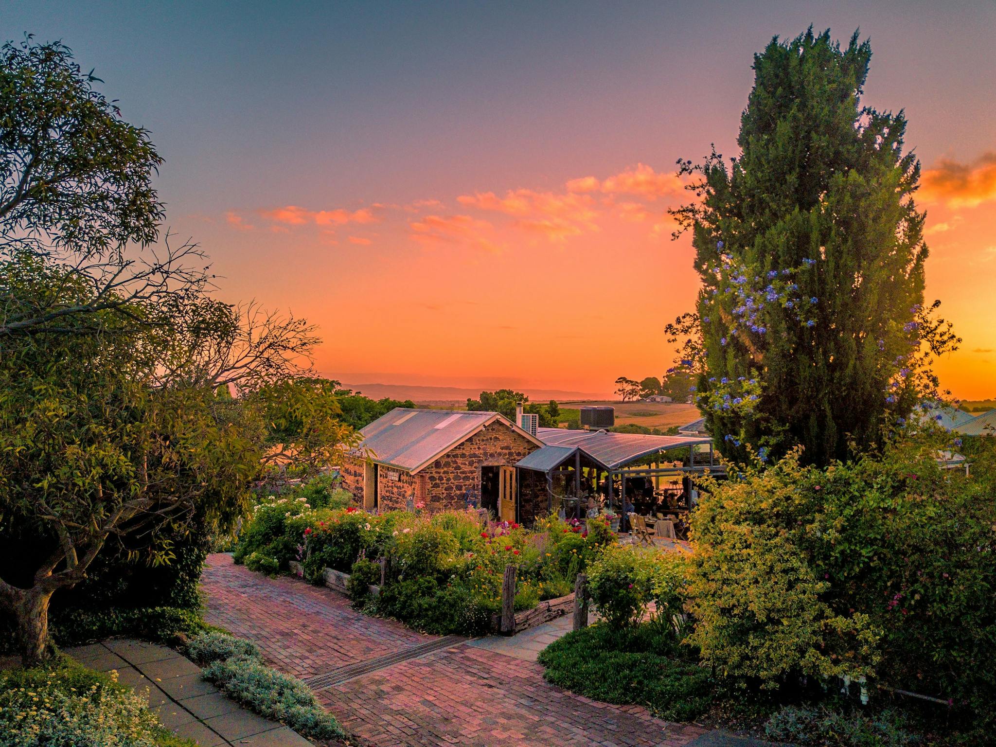 Coriole sunset