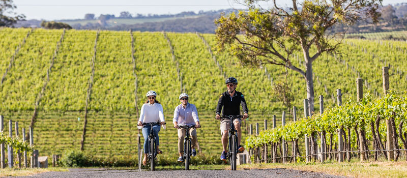 The Shiraz Trail Mclaren Vale Wine Region
