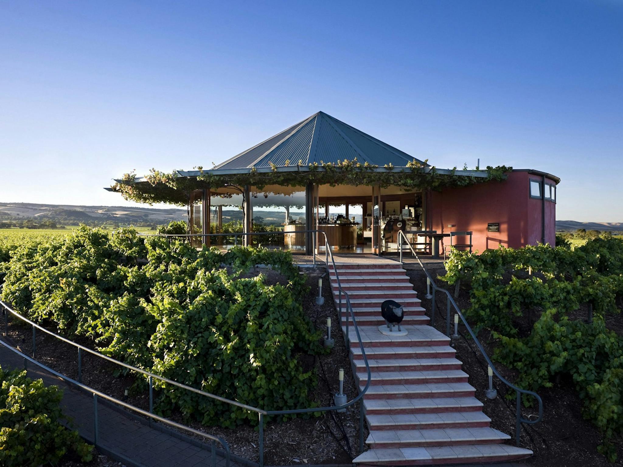 Hugh Hamilton, McLaren Vale Wine Tour, Trail Hopper