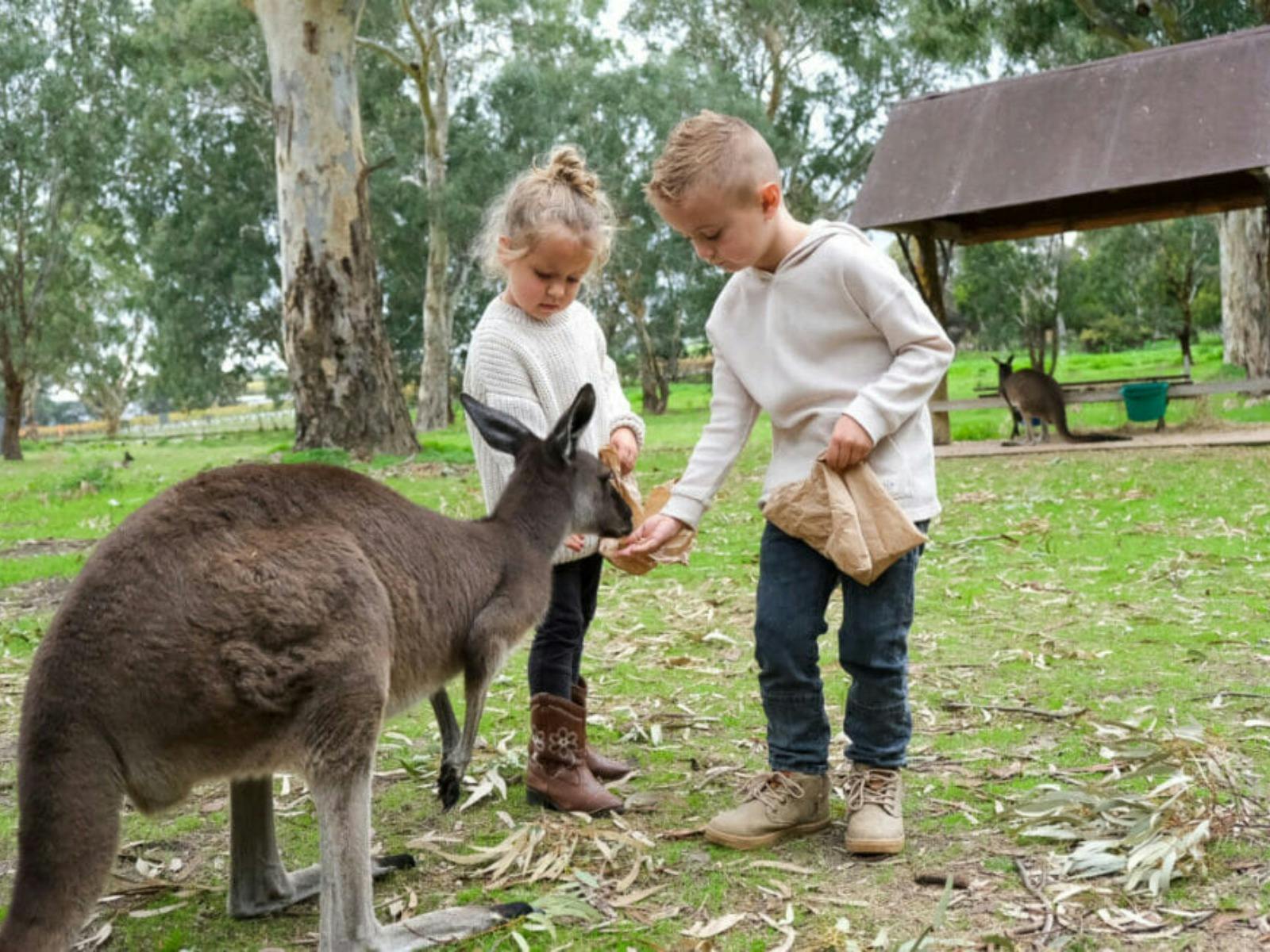 Wildlife Sanctuary