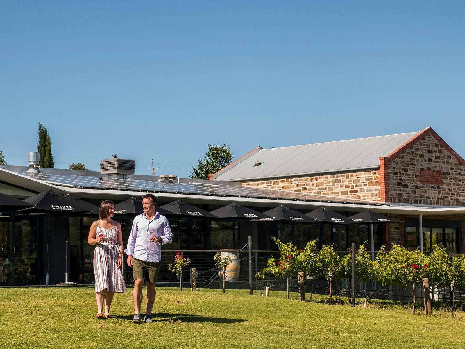 Angove McLaren Vale Couple Walking through the Vineyard