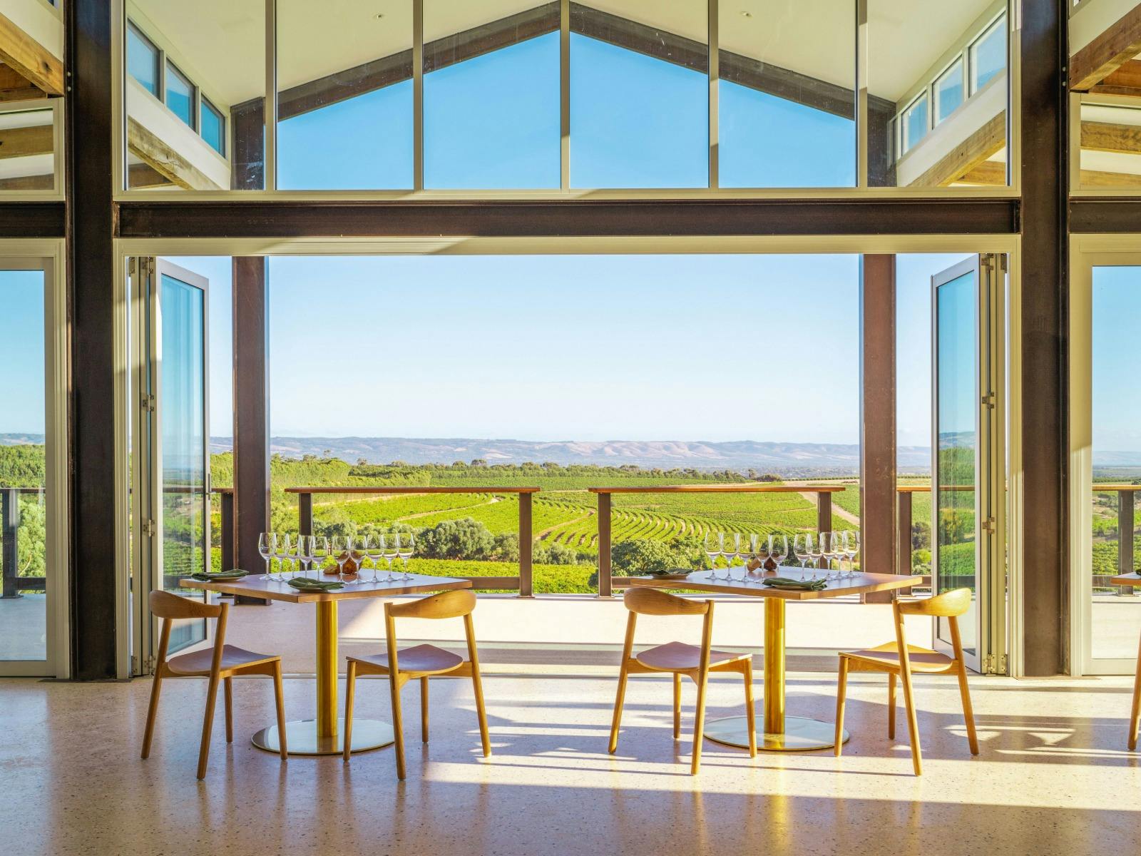 Looking our through Dandelion Wonder Room to blue skies and vineyard views