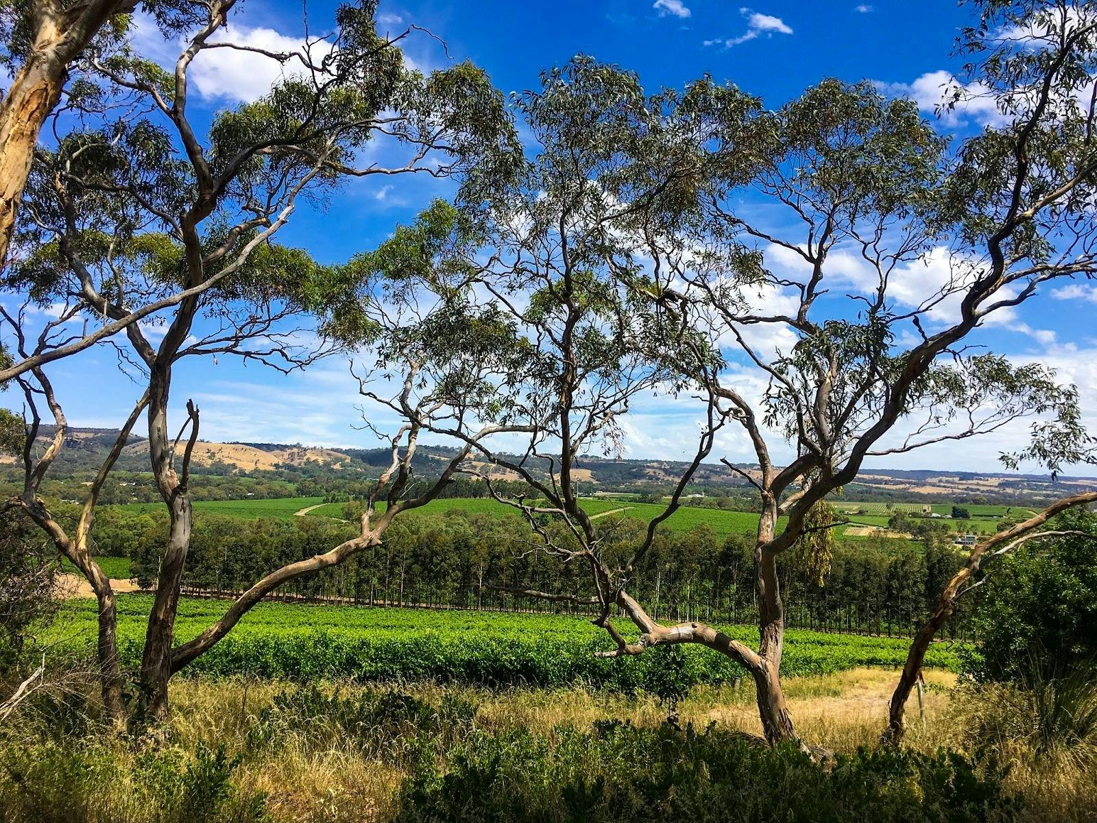 Karawatha Cottages Food & Wine Walk