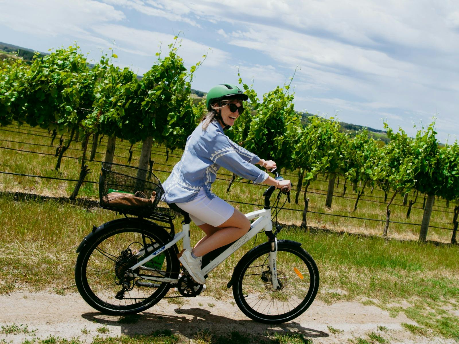 Guided McLaren Vale e-Bike Wine Tour, from McLaren Vale
