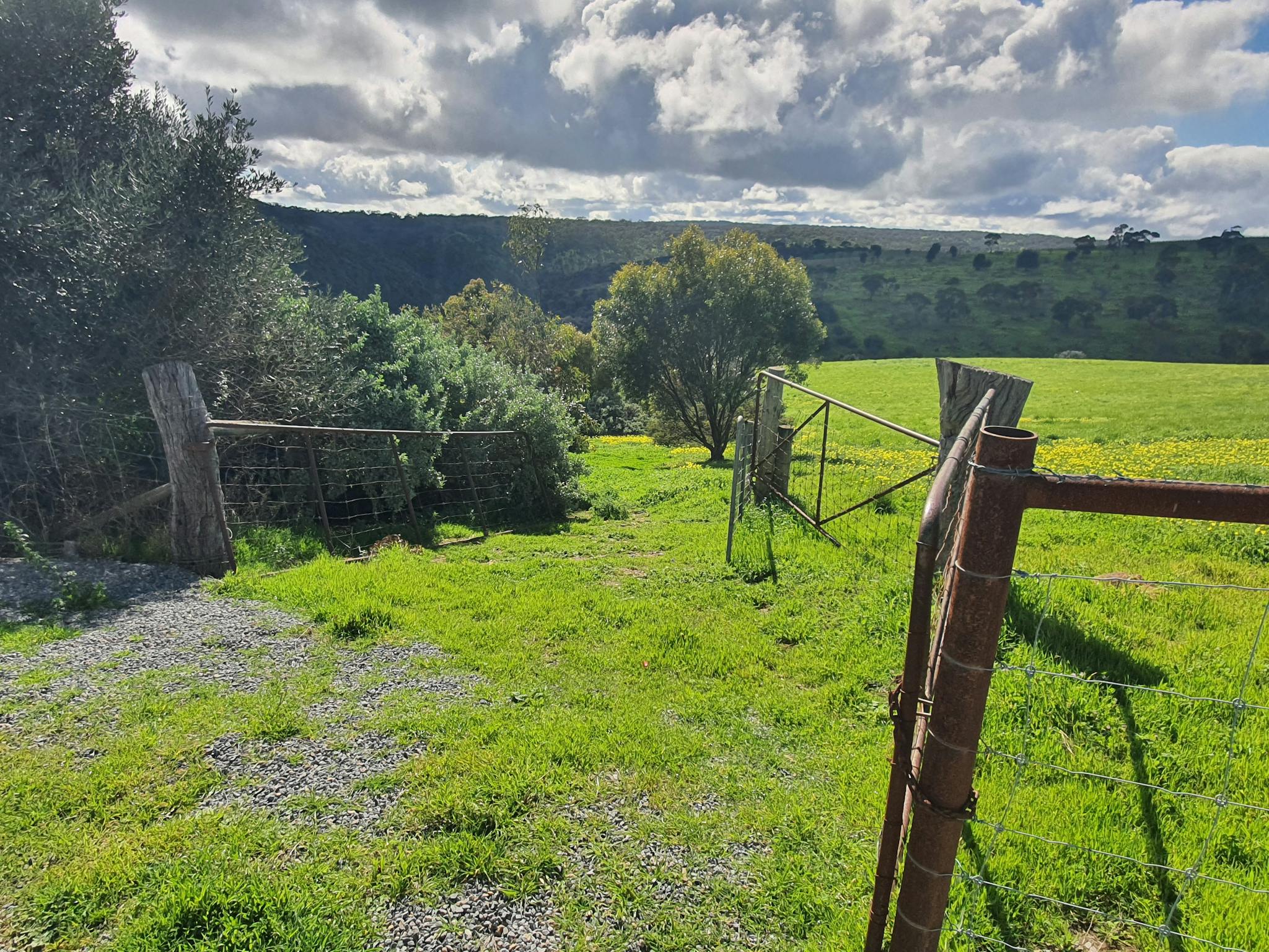 Views- McLaren Vale