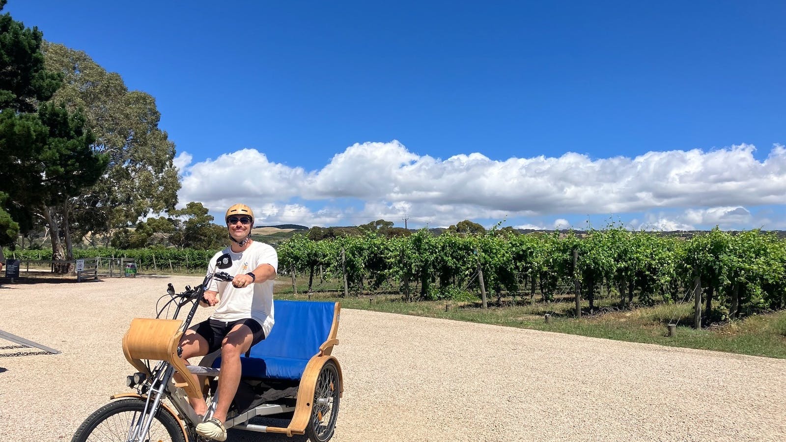 eTukTuk Tour from Shirvington Wines, McLaren Vale - SA eBikes