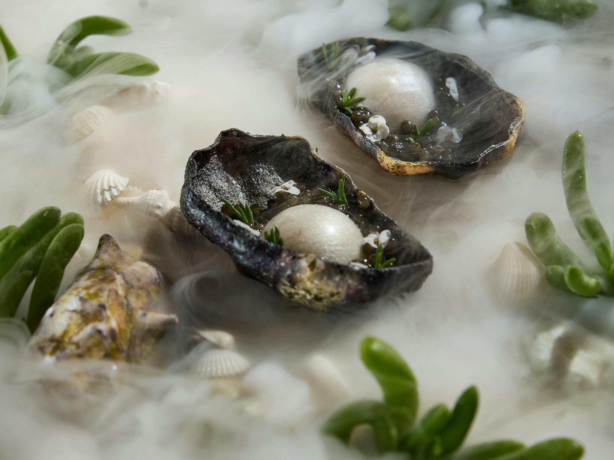 Oyster in shell restaurant dish