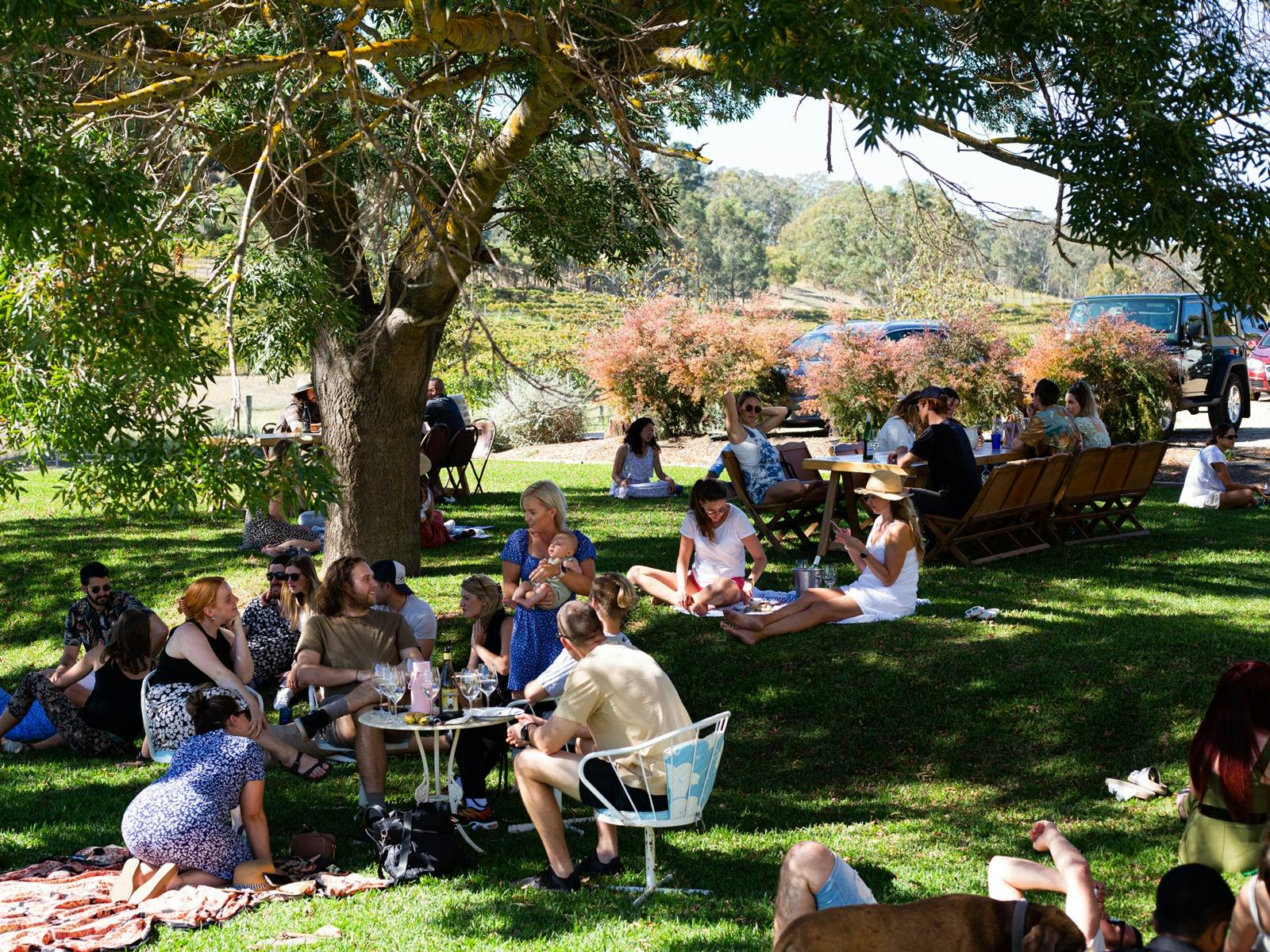 There's always room on our lawn for you to roll out the picnic rug and enjoy a glass or two,