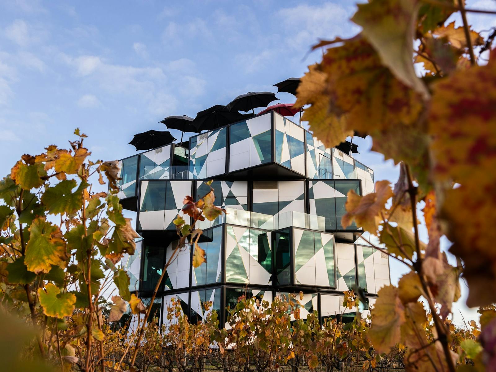 The d'Arenberg Cube