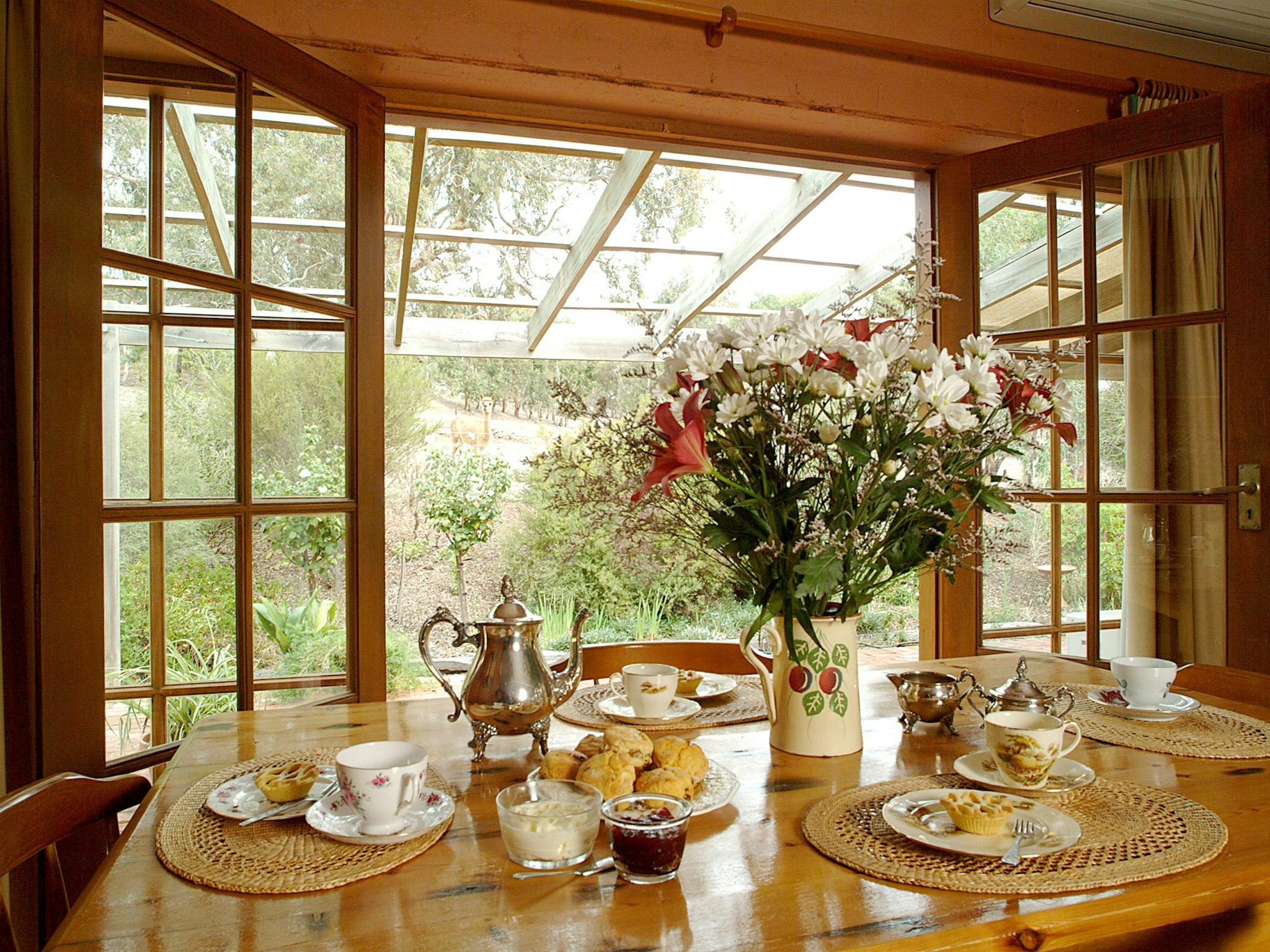 Ancient gums keep watch over you while enjoying breakfast and the cottage garden