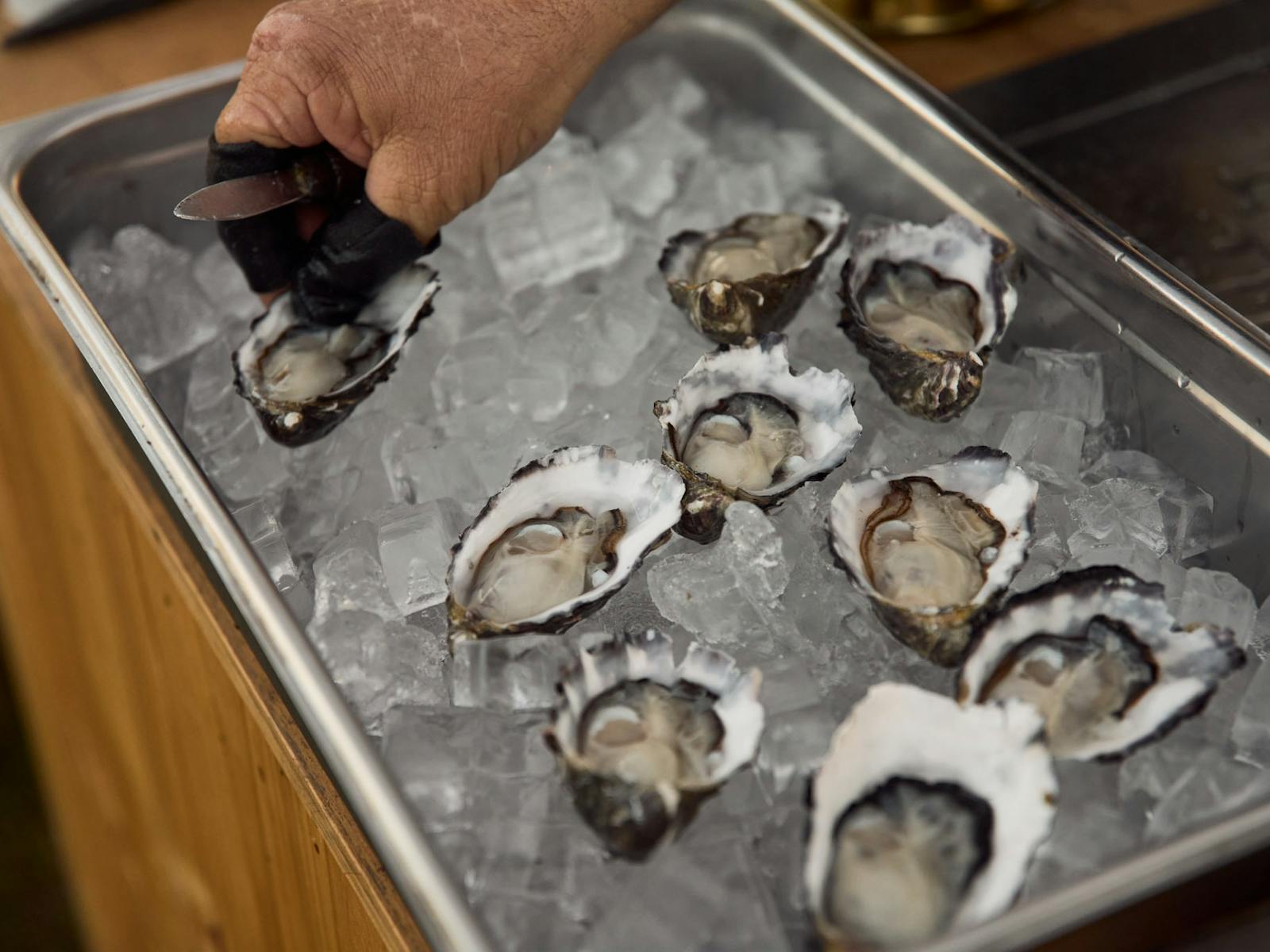 Oysters at Oyster Palooza in McLaren Vale for Fleurieu Food Festival