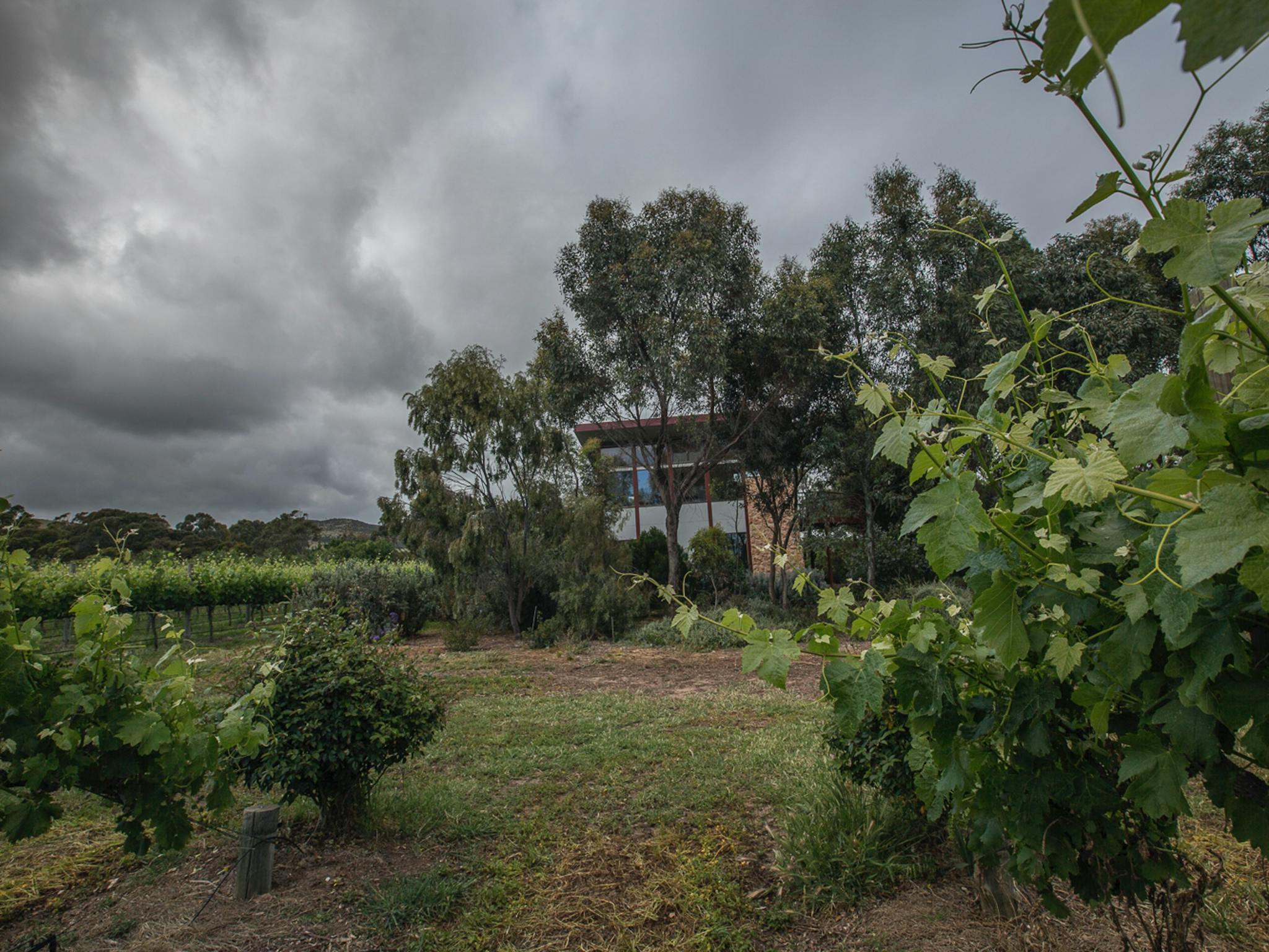 Sellicks Chills Vineyard Retreats