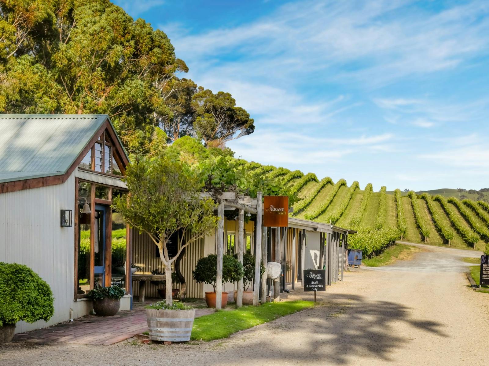 Front entrance of the Currant Shed with vines in the background