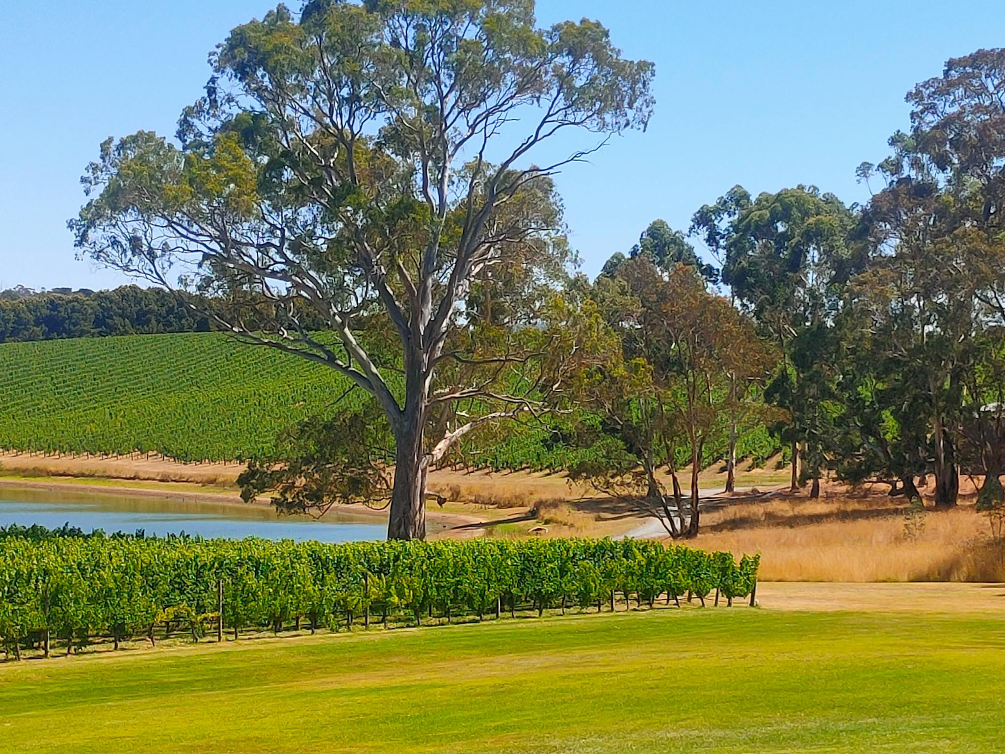 Adelaide Hills