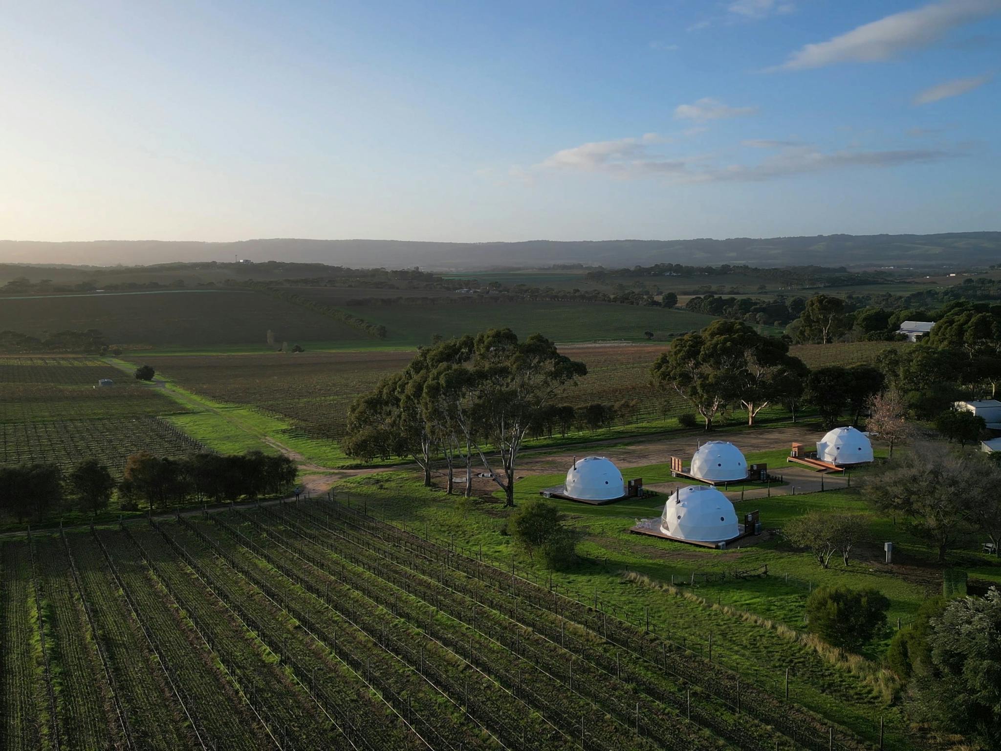 Domes against the vines