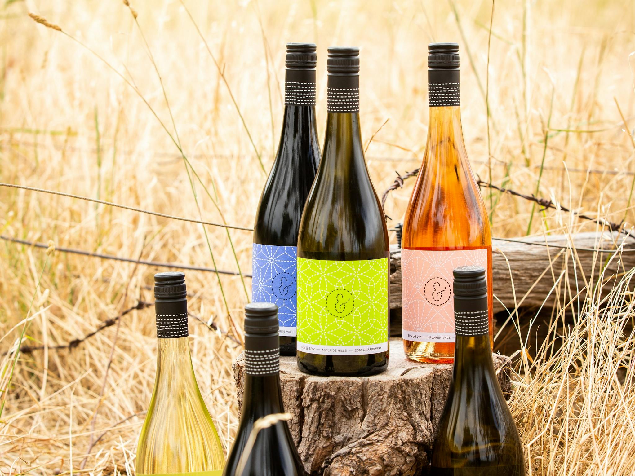 Wine bottles in grass