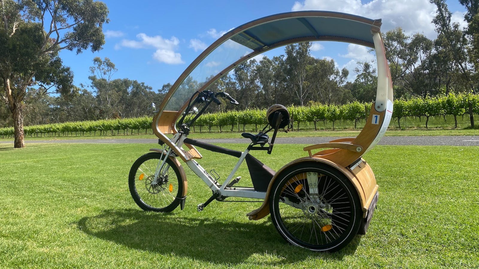 eTukTuk Adventure from Oxenberry Farm McLaren Vale - SA eBikes