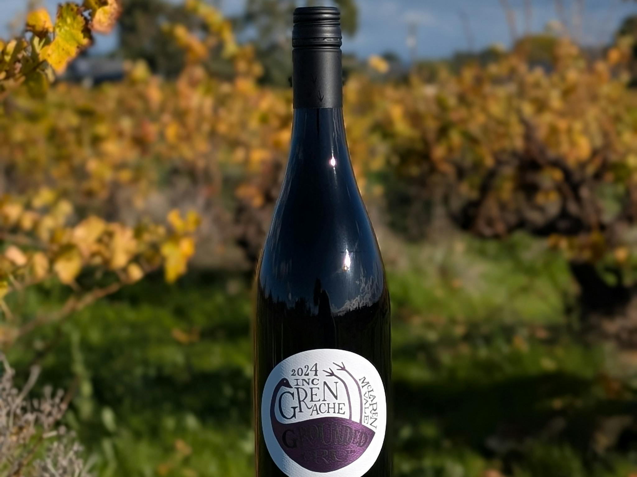 Inc Grenache