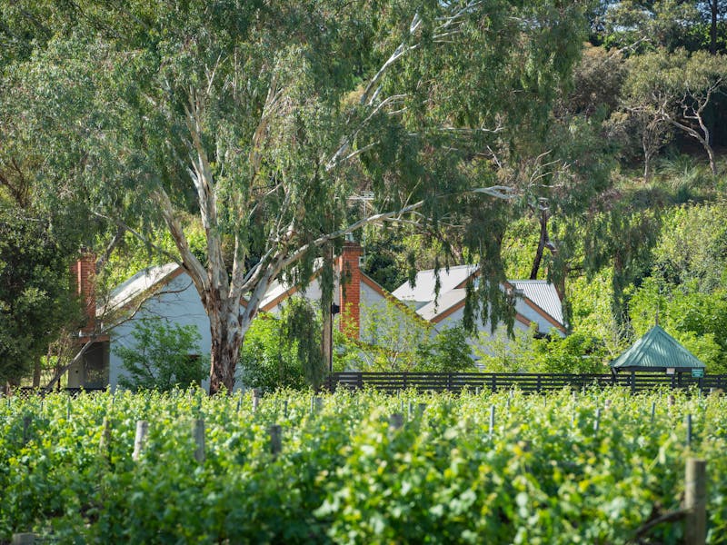 McLaren Vale Getaways
