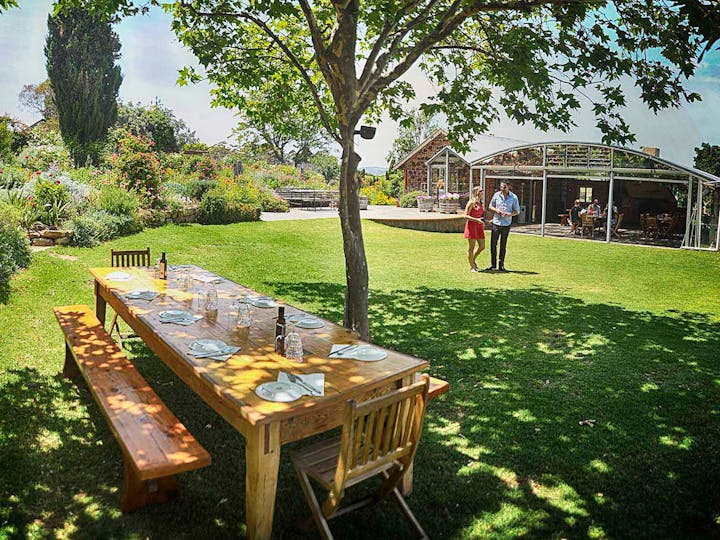 McLaren Vale Winery Experience - Small Group Tour