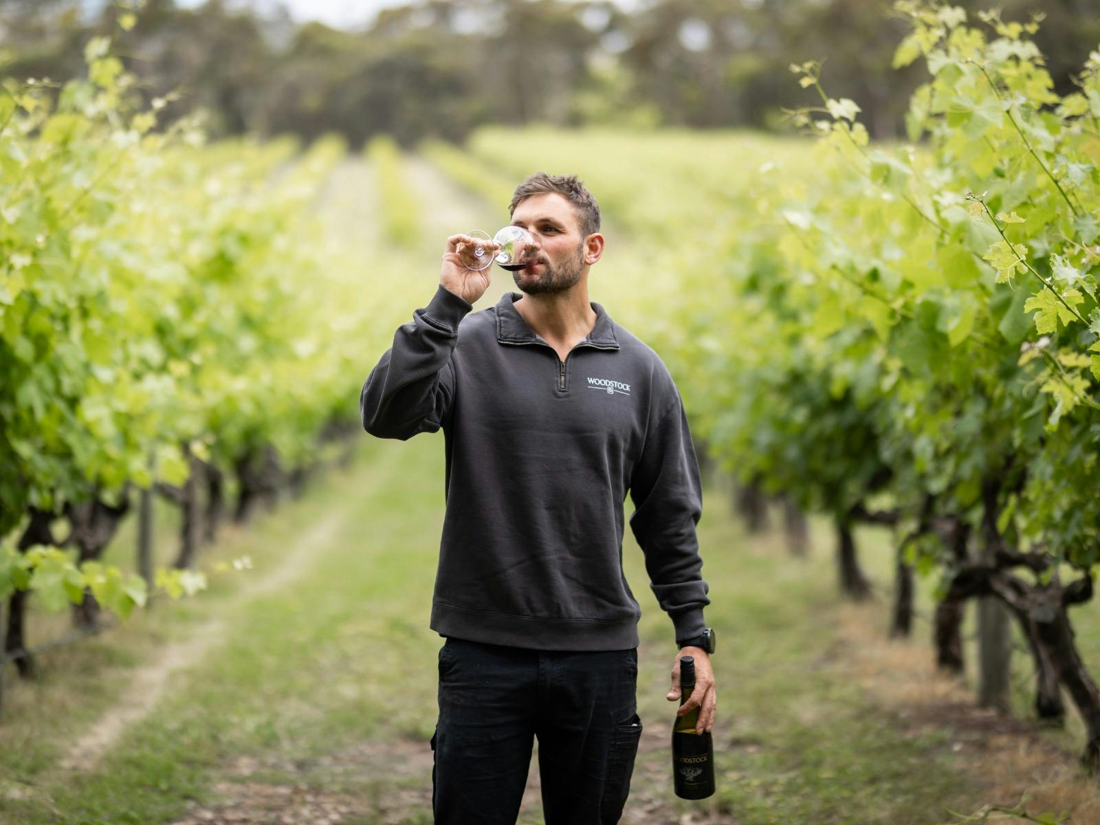 WInemaker Peter