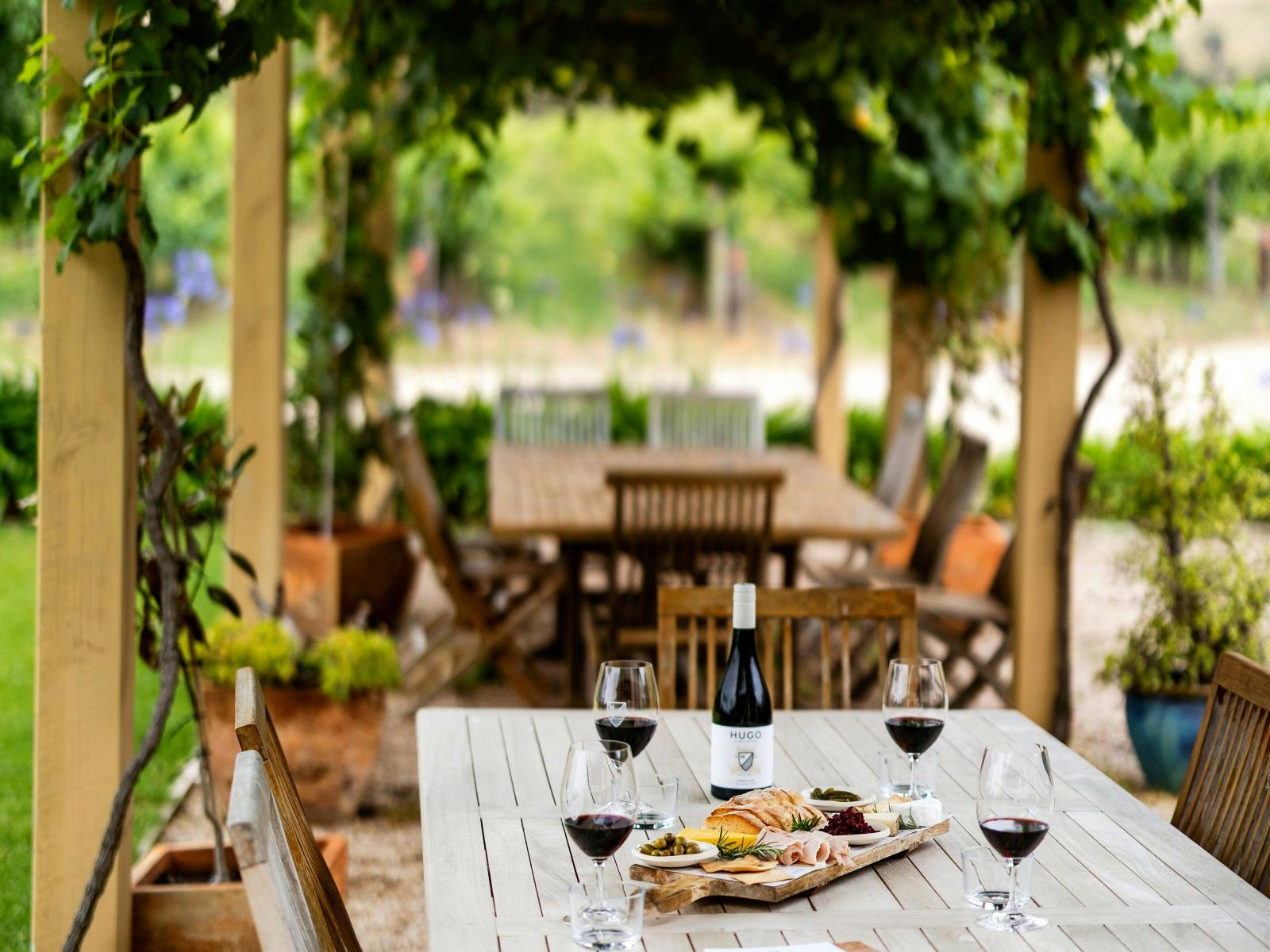 Red Wine glasses on table beneath a vine covered arbor