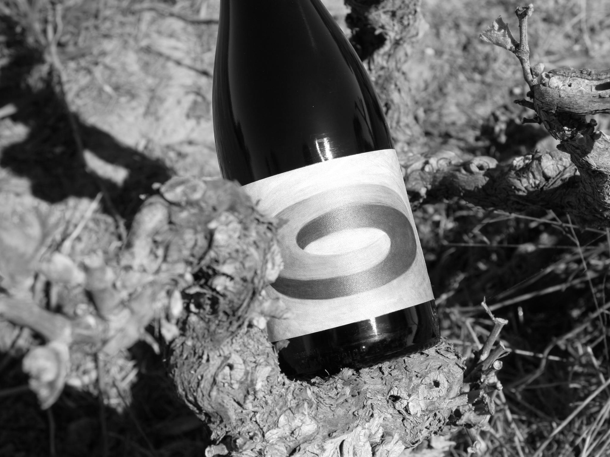 Bottle of Grenache laying upon the 70 year old bush vines from where it originated.