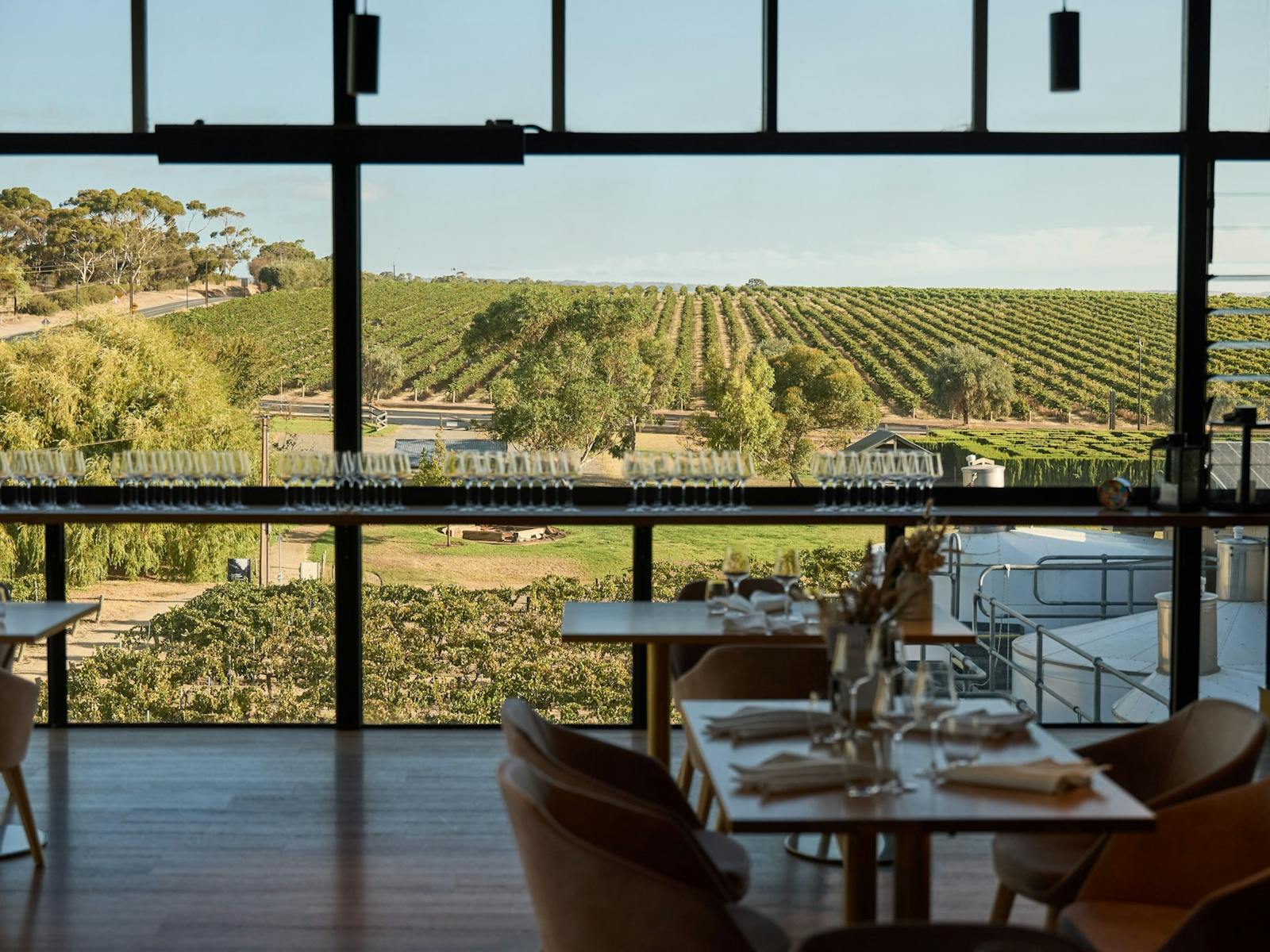 Maxwell Wines restaurant overviewing vineyards