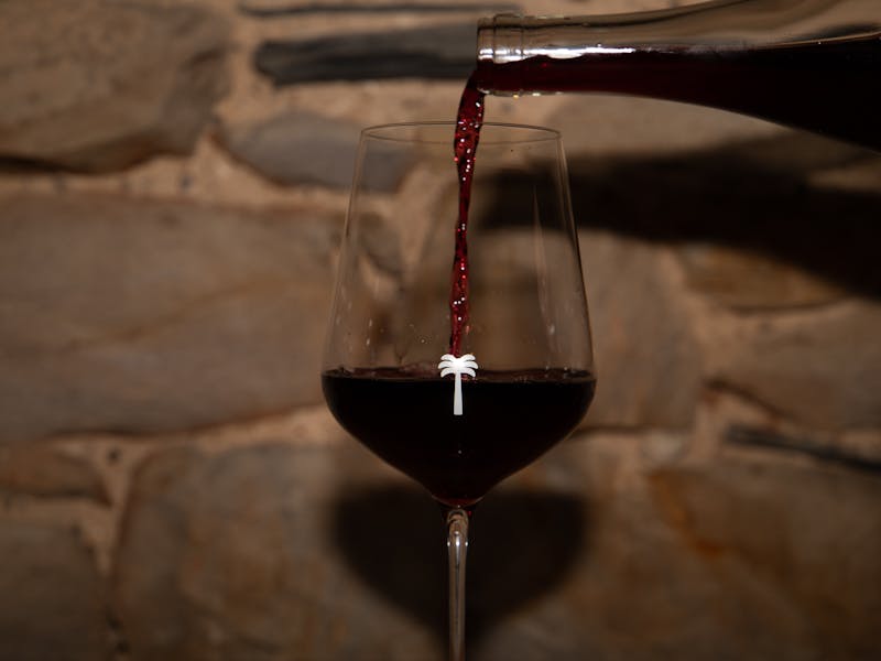Grenache & Gourmet: Tread Lightly and Silent Noise
