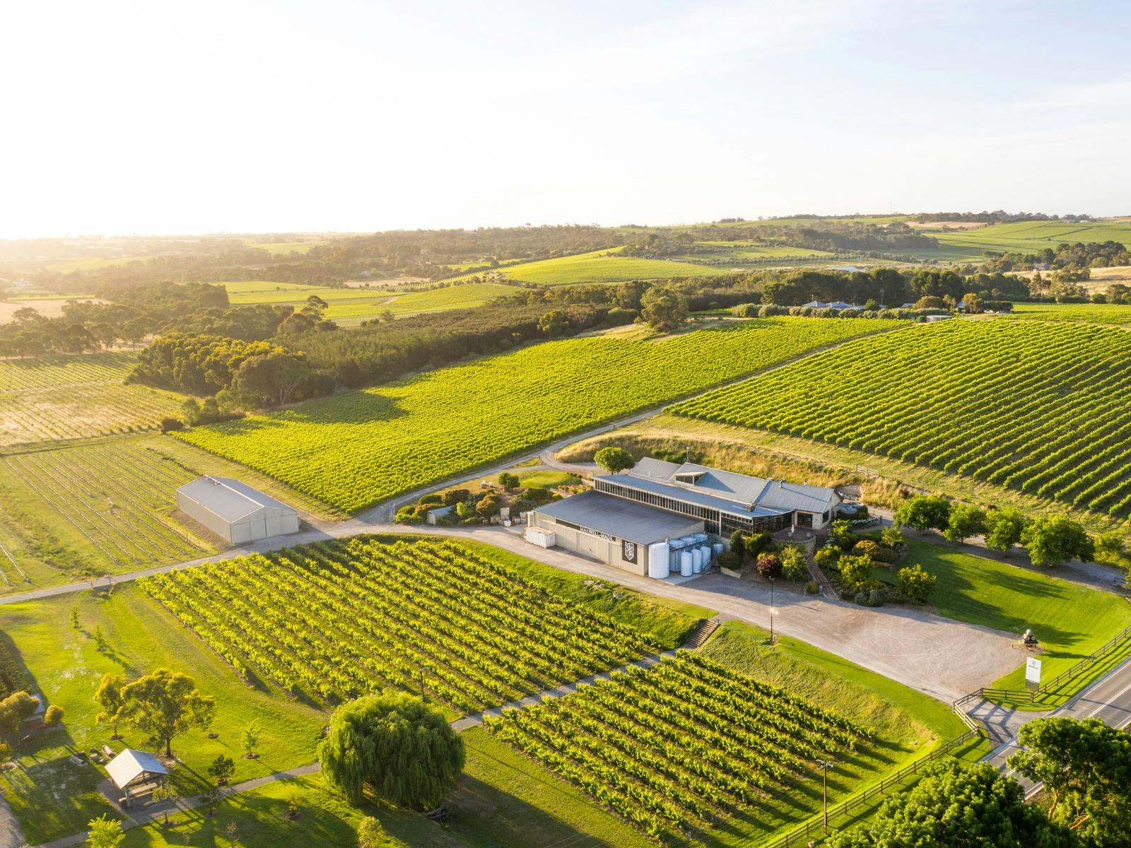 Maxwell Wines McLaren Vale