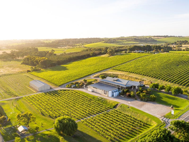 Maxwell Wines