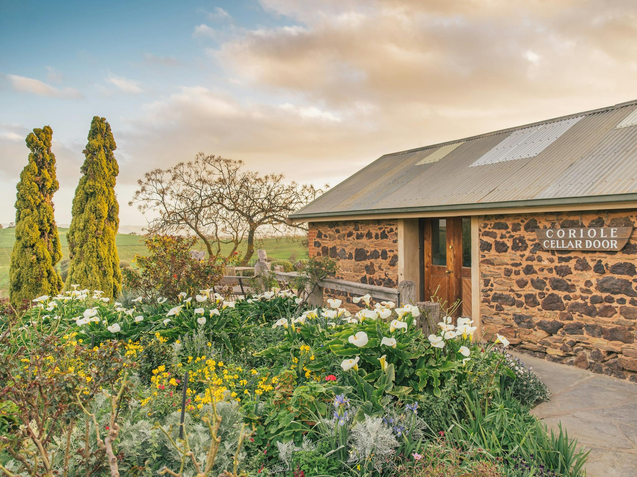 Coriole cellar door
