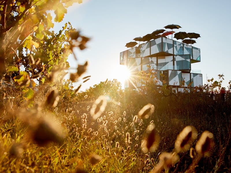 The d'Arenberg Cube