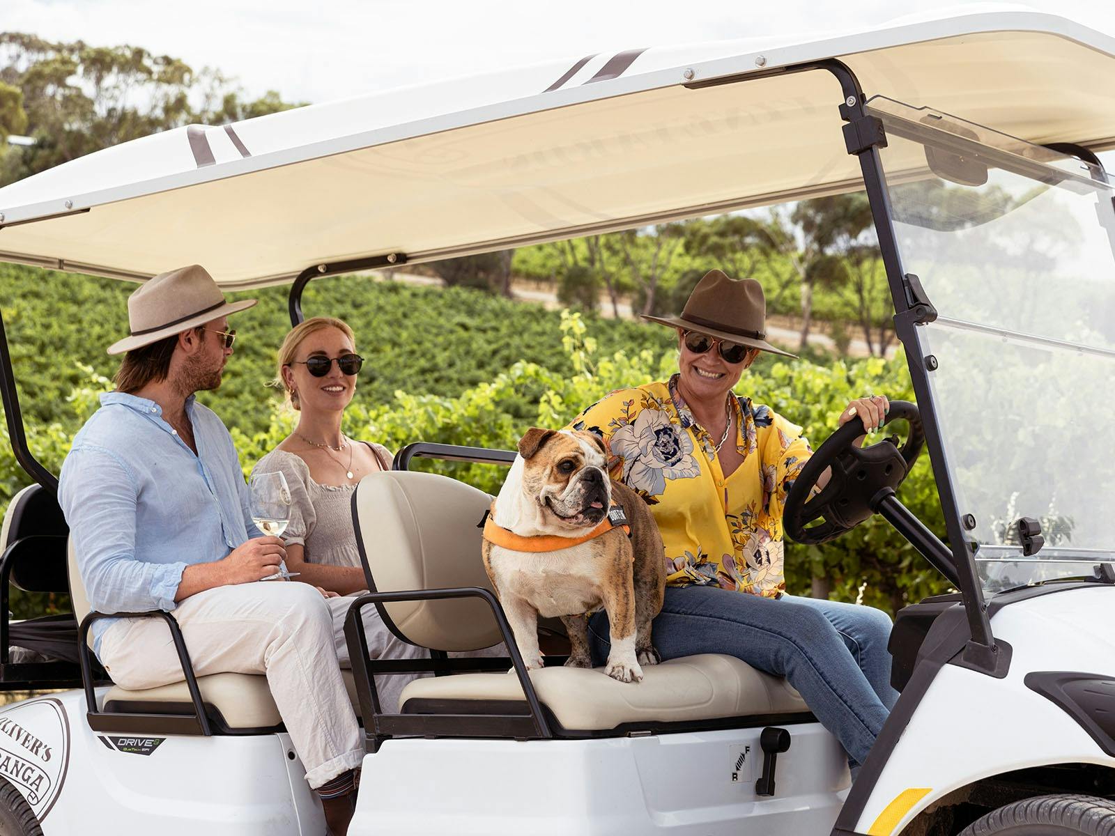 Taranga Terroir - Vineyard Experience