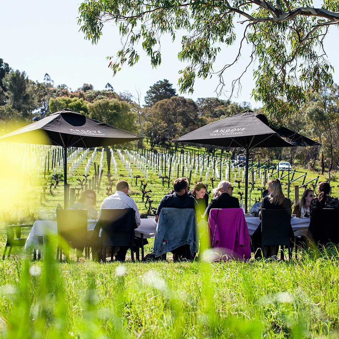 Angove MEDHYK 2020 RELEASE & BRIGHTLANDS SHIRAZ LAUNCH "LUXURIOUS LUNCH"