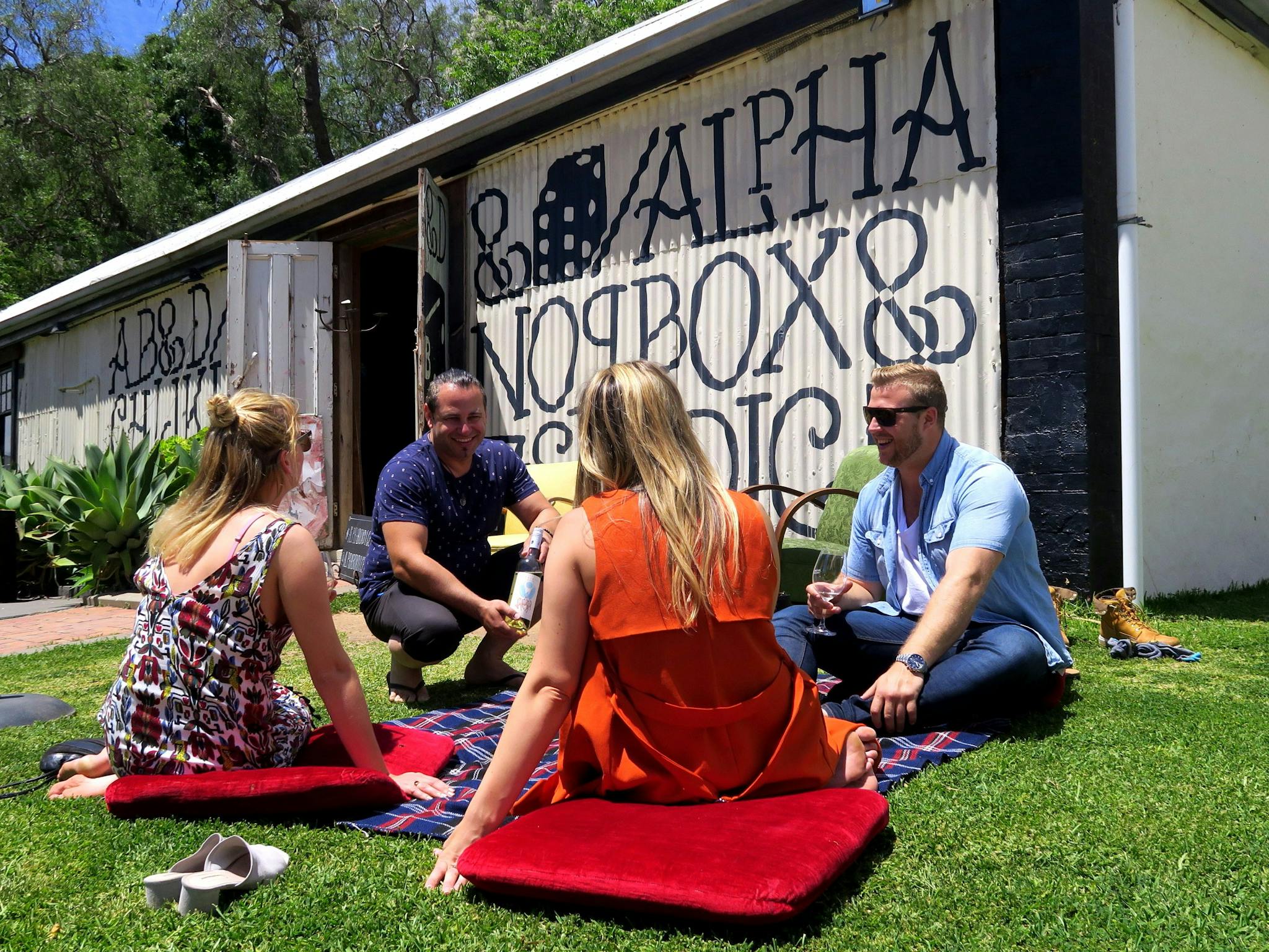 wine tour mclaren vale