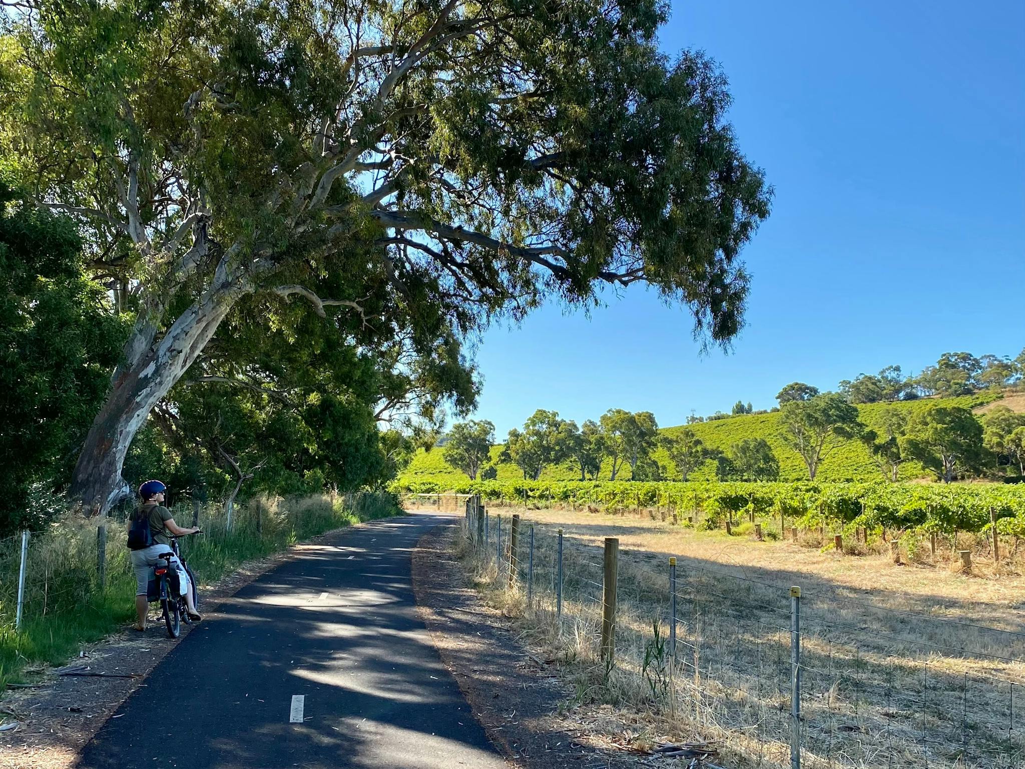 On the 'Flat to the Vale' Trail