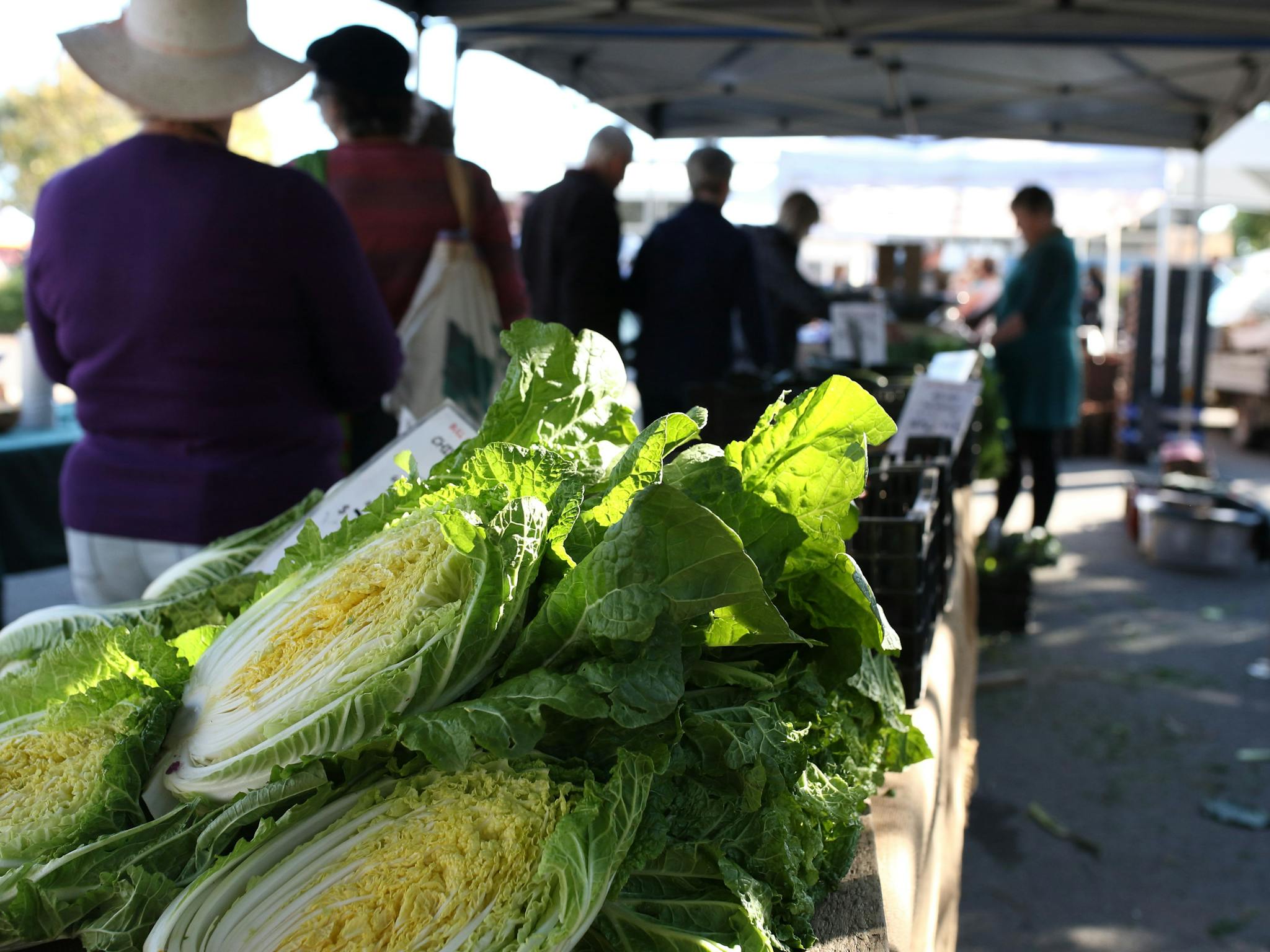 Lots of fresh, local produce!