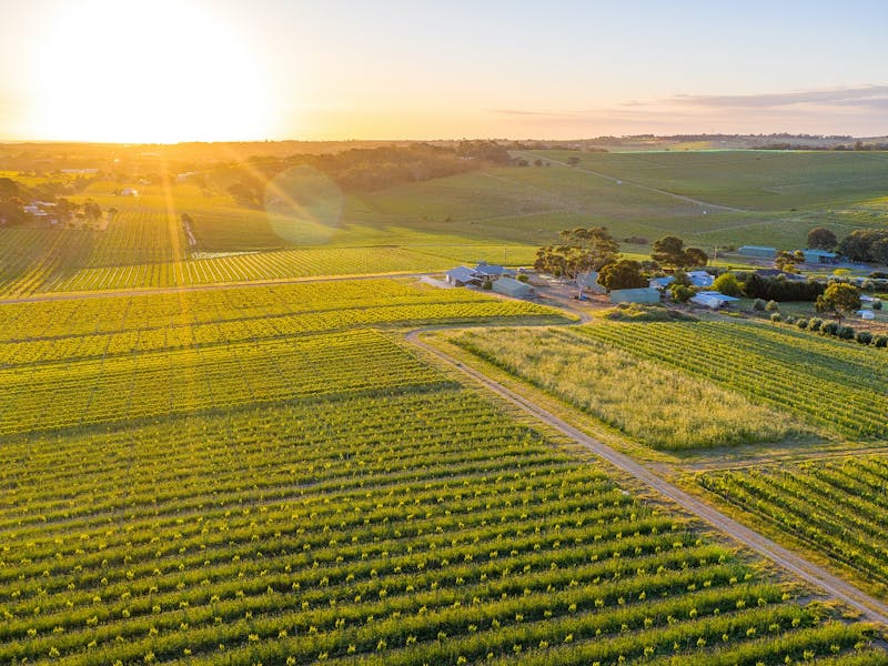 Bondar Wines
