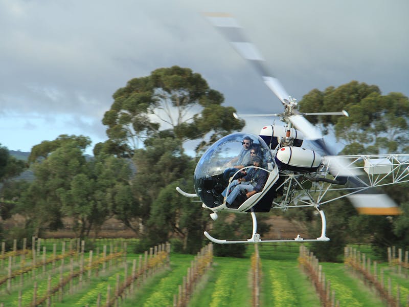 Helivista